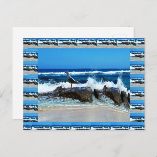 zeemleder op de balkstokken, briefkaart (Voorkant / Achterkant)