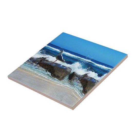 zeemleder op de balkstokken, tegeltje (Zijkant)