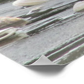 Zeemuizen en schelpen in het Zee Poster (Hoek)