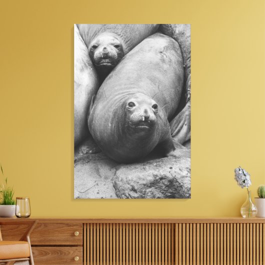 zeeolifanten canvas afdruk (Insitu (Woonkamer))