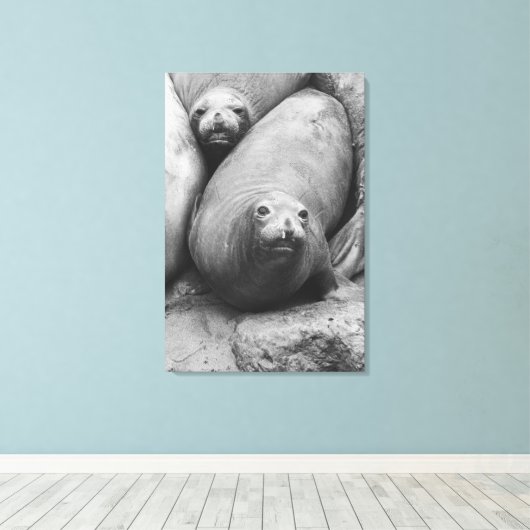 zeeolifanten canvas afdruk (Insitu (Houten vloer))