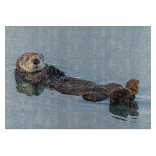 Zeeotter drijft op rug in oceaan snijplank (Voorkant)