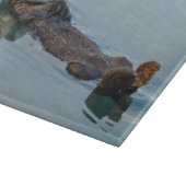 Zeeotter drijft op rug in oceaan snijplank (Hoek)