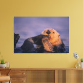 Zeeotter, Enhydra lutris Canvas Afdruk (Insitu (Woonkamer))