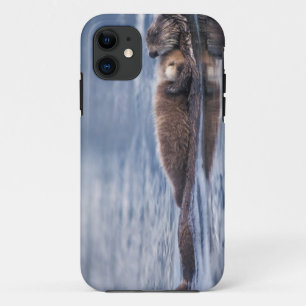 zeeotter, Enhydra lutris lutris iPhone 11 Hoesje