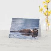 zeeotter, Enhydra lutris lutris Kaart (Gele Bloem)