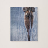 zeeotter, Enhydra lutris lutris Legpuzzel (Verticaal)