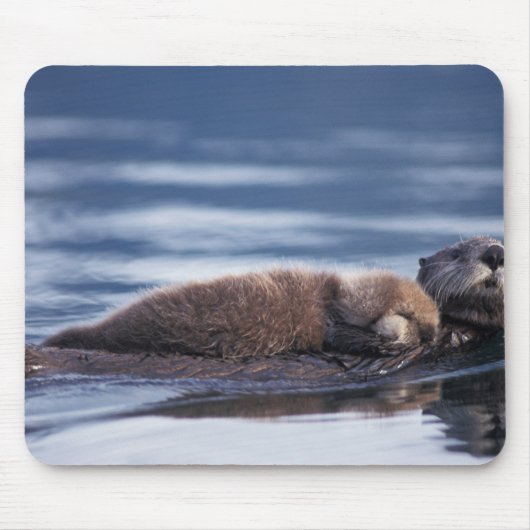 zeeotter, Enhydra lutris lutris Muismat (Voorkant)
