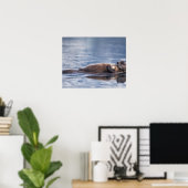 zeeotter, Enhydra lutris lutris Poster (Thuiskantoor)