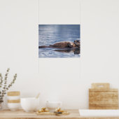 zeeotter, Enhydra lutris lutris Poster (Keuken)