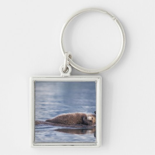 zeeotter, Enhydra lutris lutris Sleutelhanger (Voorkant)