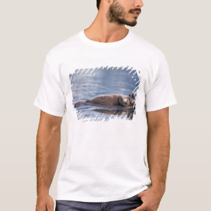 zeeotter, Enhydra lutris lutris T-shirt