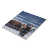 zeeotter, Enhydra lutris lutris Tegeltje (Zijkant)
