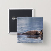 zeeotter, Enhydra lutris lutris Vierkante Button 5,1 Cm (Voorkant /achterkant)