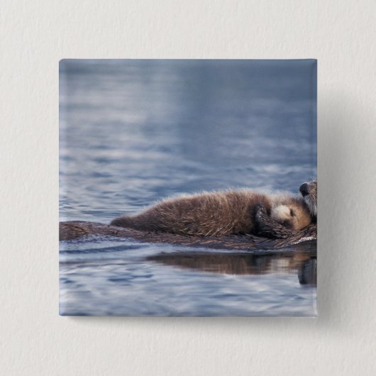 zeeotter, Enhydra lutris lutris Vierkante Button 5,1 Cm (Voorkant)