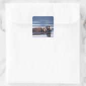 zeeotter, Enhydra lutris lutris Vierkante Sticker (Tas)