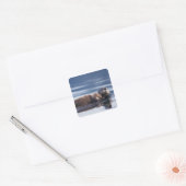 zeeotter, Enhydra lutris lutris Vierkante Sticker (Envelop)
