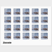 zeeotter, Enhydra lutris lutris Vierkante Sticker (Vel)
