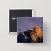 Zeeotter, Enhydra lutris Vierkante Button 5,1 Cm (Voorkant /achterkant)