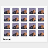 Zeeotter, Enhydra lutris Vierkante Sticker (Vel)