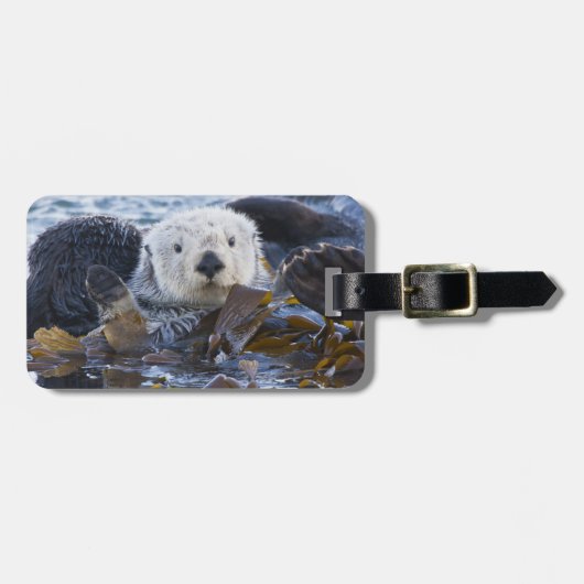 Zeeotter gewikkeld in kelp bagagelabel (Voorkant horizontaal)