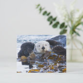 Zeeotter gewikkeld in kelp briefkaart (Staand voorkant)