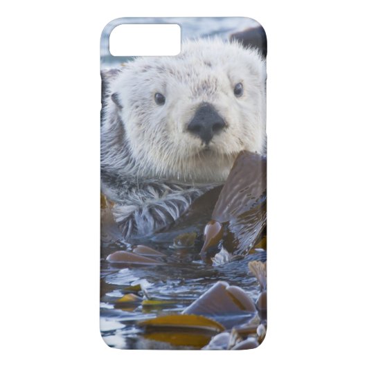 Zeeotter gewikkeld in kelp Case-Mate iPhone case (Achterkant)