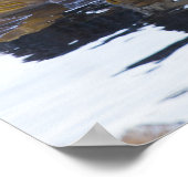 Zeeotter gewikkeld in kelp poster (Hoek)