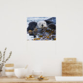 Zeeotter gewikkeld in kelp poster (Keuken)