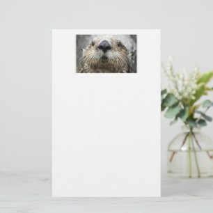 Zeeotter Gezicht Briefpapier