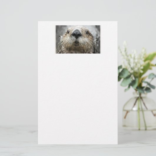 Zeeotter Gezicht Briefpapier (Staand voorkant)