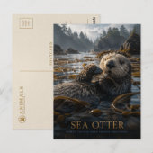 Zeeotter Kelpbos DIEREN Briefkaart (Voorkant / Achterkant)