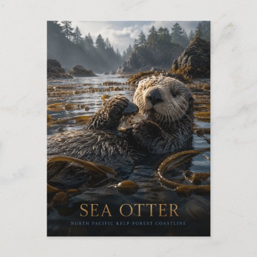 Zeeotter Kelpbos DIEREN Briefkaart (Voorkant)