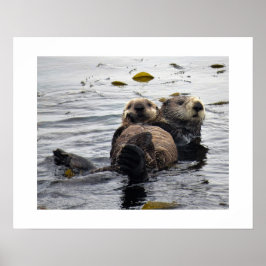 Zeeottermoeder en -jong poster