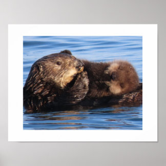 Zeeottermoeder en schattige pup poster