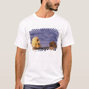 Zeeotters, Enhydra lutris 4 T-shirt