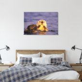 Zeeotters, Enhydra lutris 5 Canvas Afdruk (Insitu (Slaapkamer))