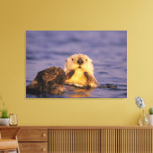 Zeeotters, Enhydra lutris 5 Canvas Afdruk (Insitu (Woonkamer))