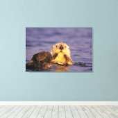 Zeeotters, Enhydra lutris 5 Canvas Afdruk (Insitu (Houten vloer))