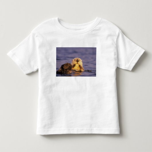 Zeeotters, Enhydra lutris 5 Kinder Shirts (Voorkant)