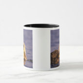 Zeeotters, Enhydra lutris 5 Mok (Midden)