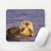 Zeeotters, Enhydra lutris 5 Muismat (Met muis)