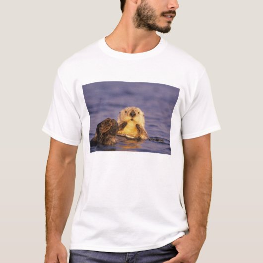 Zeeotters, Enhydra lutris 5 T-shirt (Voorkant)