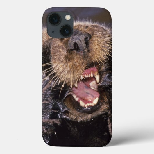 Zeeotters, Enhydra lutris 6 Case-Mate iPhone Case (Achterkant)
