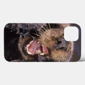 Zeeotters, Enhydra lutris 6 Case-Mate iPhone Case (Achterkant (horizontaal))