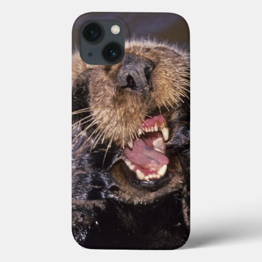 Zeeotters, Enhydra lutris 6 Case-Mate iPhone Case (Achterkant)
