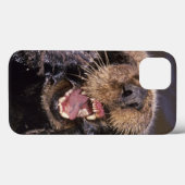 Zeeotters, Enhydra lutris 6 Case-Mate iPhone Case (Achterkant (horizontaal))