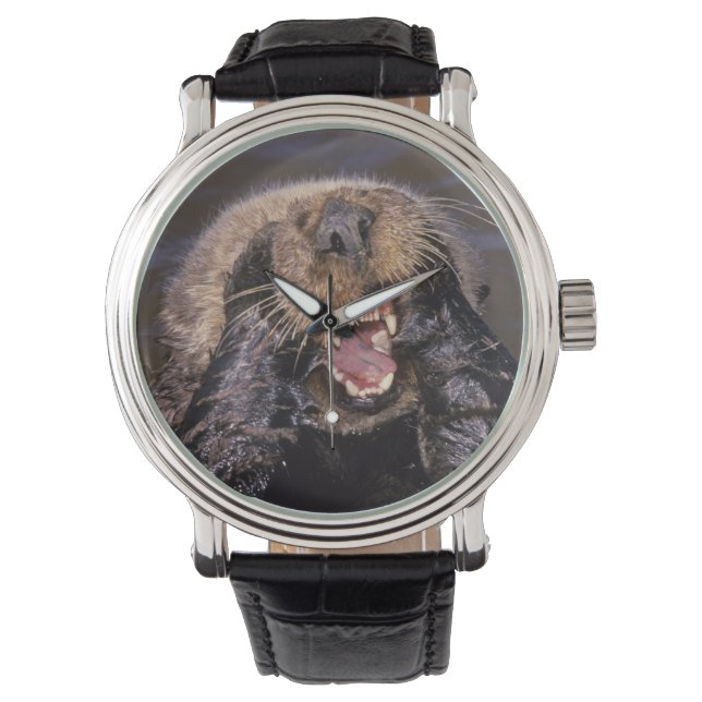 Zeeotters, Enhydra lutris 6 Horloge (Voorkant)