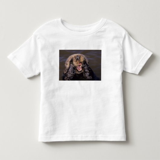 Zeeotters, Enhydra lutris 6 Kinder Shirts (Voorkant)
