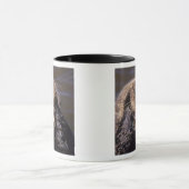 Zeeotters, Enhydra lutris 6 Mok (Midden)